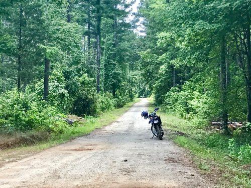 Yamaha WR250R in the woods