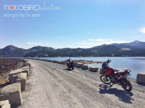 Motobird Adventures