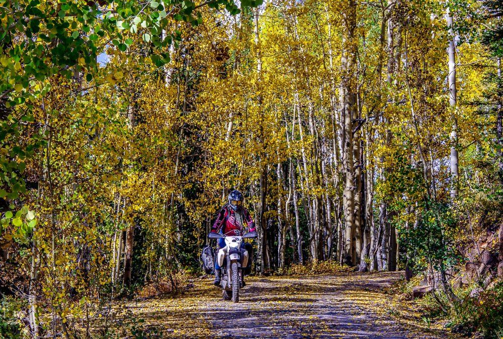 First Time Off-Road: Where To Begin www.womenadvriders.com