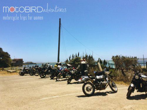 Motobird Adventures