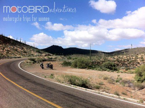 Motobird Adventures