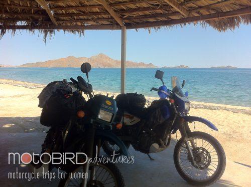 Motobird Adventures