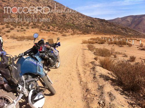 Motobird Adventures