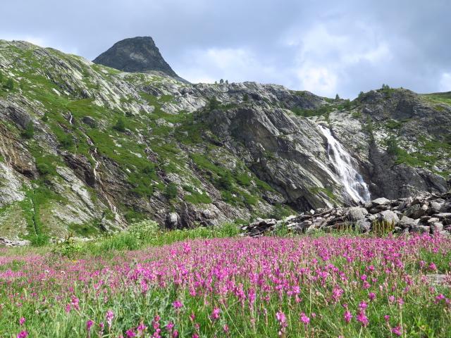 Trans Euro Trail Women