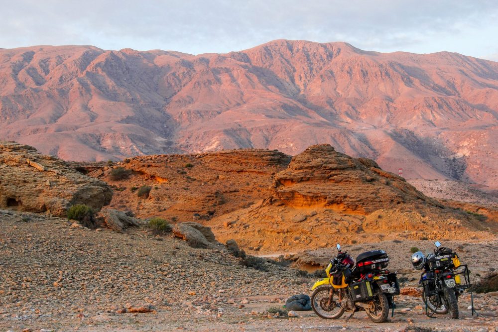 Liz Keily riding Oman