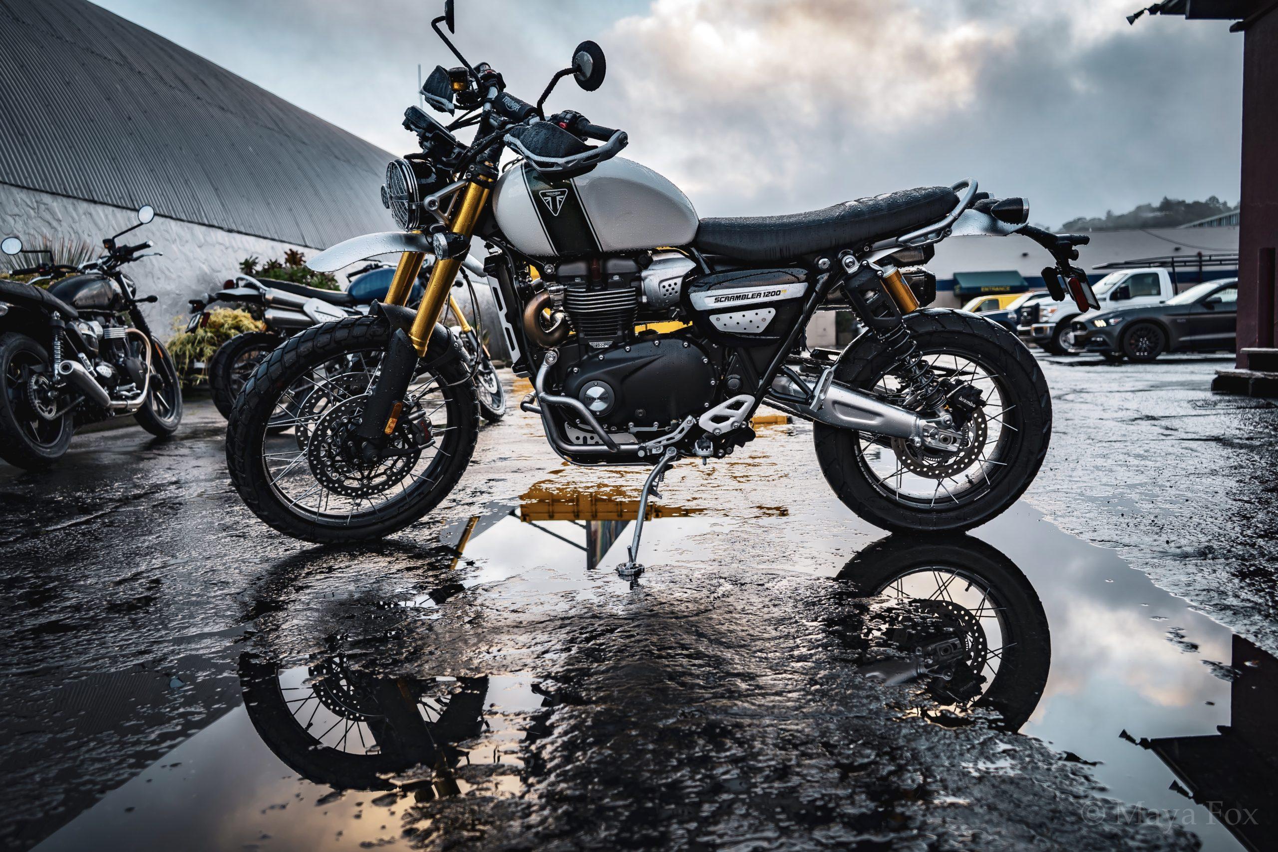 Triumph Scrambler